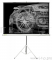 Экраны Cactus Экран Cactus Triscreen CS-PST-124x221 124.5 x 221см 16:9 напольный рулонный белый