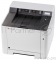 принтер Kyocera ECOSYS P5026cdn 1102RC3NL0