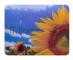 Коврик для мыши Buro BU-M20036 пластиковый, поле подсолнухов, 230х180х2мм