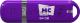 MORE CHOICE (4620202558756) USB 64GB 2.0 МФБ64 Purple