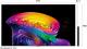 Телевизор OLED LG 77 4K OLED77C6RLA.ARUG