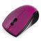 Мышь Gembird MUSW-320-P фиолетовый {Мышь беспроводная, 2 кнопки+колесо-кнопка, 1000 DPI, 2.4ГГц, батарейки в комплекте, блистер}