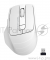 Мышь A4 Fstyler FG30 белый/серый оптическая (2000dpi) беспроводная USB (5but)