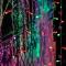 Гирлянда Светодиодный Дождь 2х2м, свечение с динамикой, прозрачный провод, 230 В, диоды RGB, 200 LED