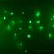 Гирлянда Айсикл (бахрома) светодиодный, 2,4 х 0,6 м, прозрачный провод, 230 В, диоды зелёные,  88 LED NEON-NIGHT