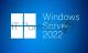 ПО Windows Server CAL 2022 Russian 1pk DSP OEI 5 Clt Device CAL