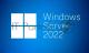 ПО Windows Svr Datacntr 2022 64Bit Russian 1pk DSP OEI DVD 16 Core
