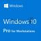 ПО Microsoft Windows 10 Pro for Wrkstns 64Bit Russian 1pk DSP OEI DVD (комплект)