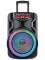 Портативная акустика Blackton Bt PBS2113 Black. Мощность RMS 40 Вт/Батарея 7,4 B, 2200 мAч/ Параметры электропитания 220-240 В,50/60 Гц/ Версия Bluetooth V5,0+BR+EDR+BLE/FM Радио/Зарядное устройства