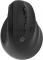 Мышь Оклик 688MW ERGO черный оптическая 2400dpi silent беспров. BT/Radio USB (2070320)
