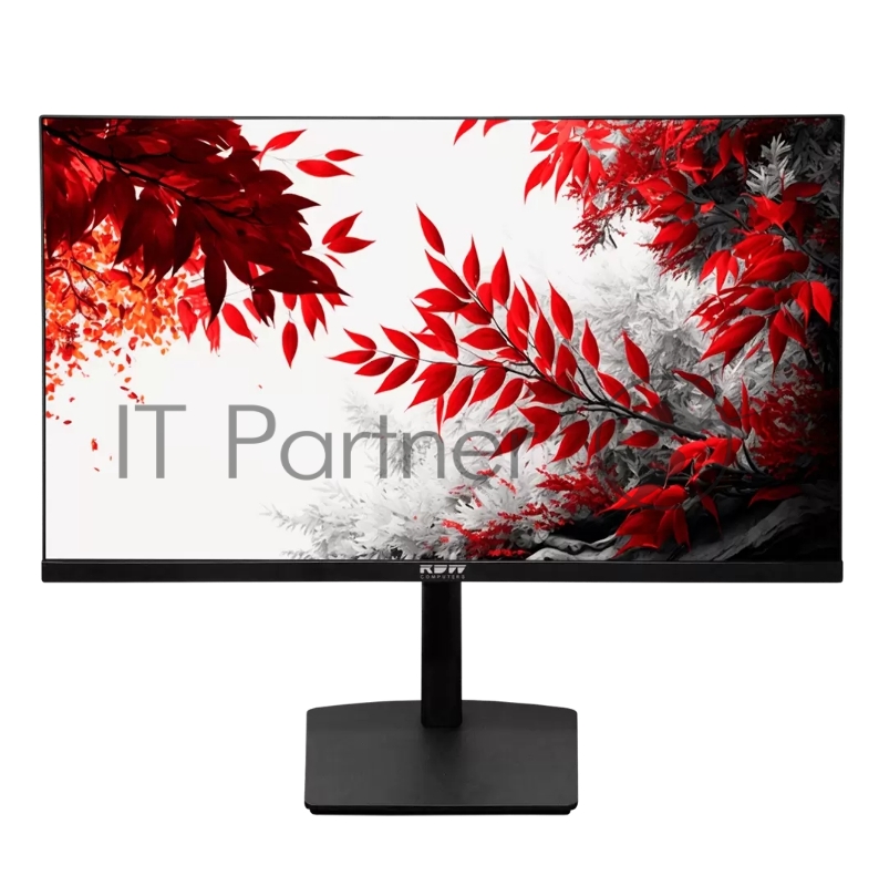 Монитор RDW Computers 31.5 RDW3207 черный IPS 1ms HDMI M/M HAS Piv 350cd 178гр/178гр 2560x1440 100Hz VGA DP QHD USB (RUS)