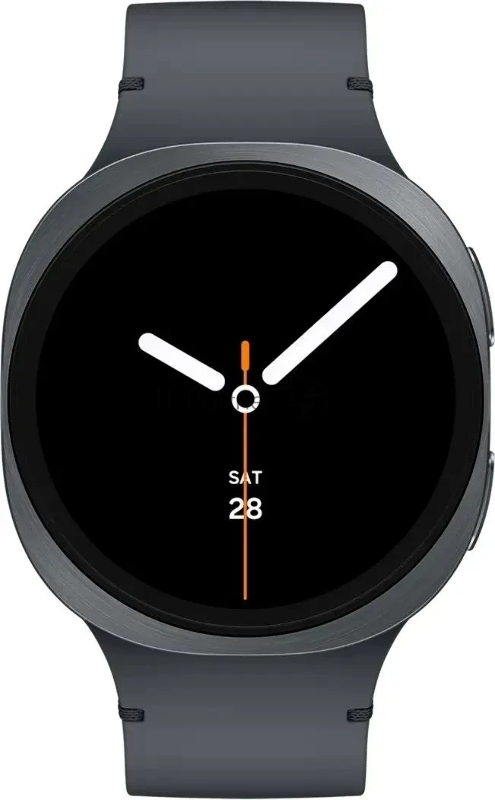 Смарт-часы Samsung Galaxy Watch 8 1.47 Super AMOLED корп.графитовый рем.графитовый (SM-L330NDAALTA)