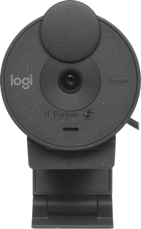 Камера Web Logitech HD Webcam Brio 300 графитовый 2Mpix (1920x1080) USB Type-C с микрофоном (960-001437)