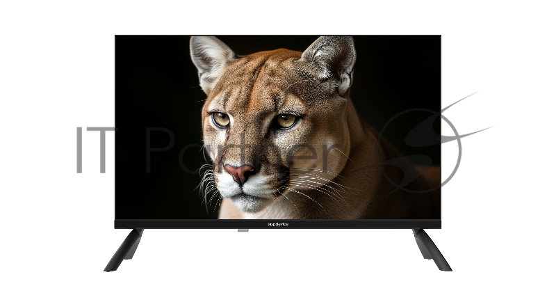 Телевизор TopDevice 24 TDWC24BH1000I HD/IPS/noSmart/черный