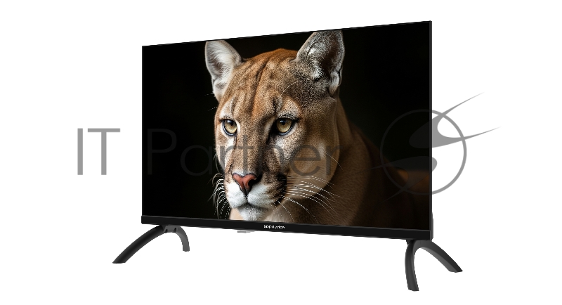 Телевизор TopDevice 24 TDWC24BH1000I HD/IPS/noSmart/черный