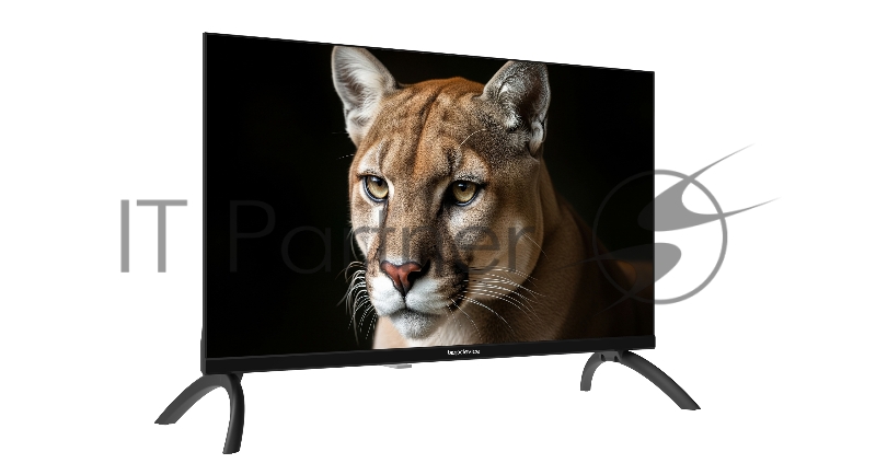 Телевизор TopDevice 24 TDWC24BH1000I HD/IPS/noSmart/черный