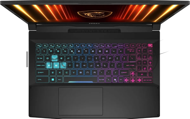 Ноутбук MSI Katana 17 HX B14WFK-214XRU/17.3/IPS/Intel Core i7 14650HX/16GB/1024GB SSD/NVIDIA GeForce RTX 5060 8GB/Windows 11 Pro/черный/2.7kg