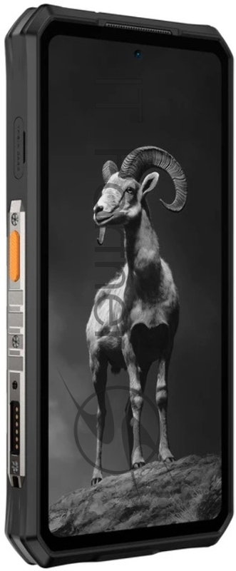 Смартфон Ulefone Armor 28 Pro 16/512Gb (6975326668255) Black