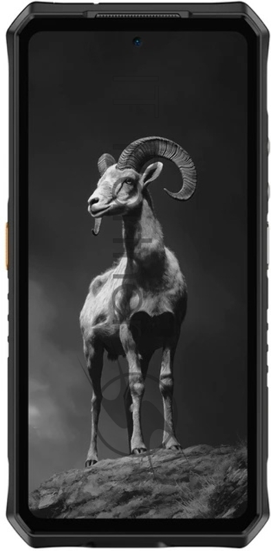 Смартфон Ulefone Armor 28 Pro 16/512Gb (6975326668255) Black