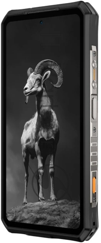 Смартфон Ulefone Armor 28 Pro 16/512Gb (6975326668255) Black