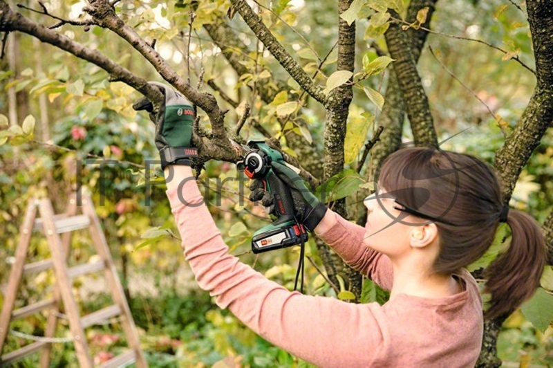 Электрическая цепная пила Bosch AdvancedCut 18