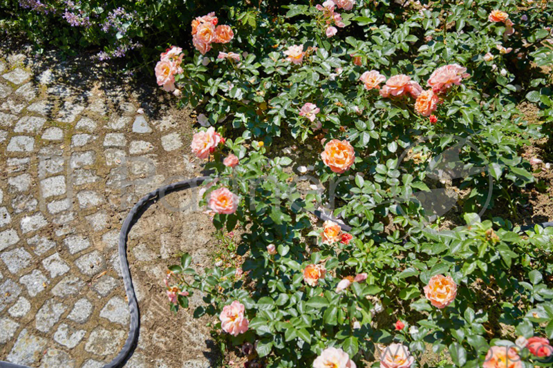 Шланг Gardena Liano (18435-20.000.00)