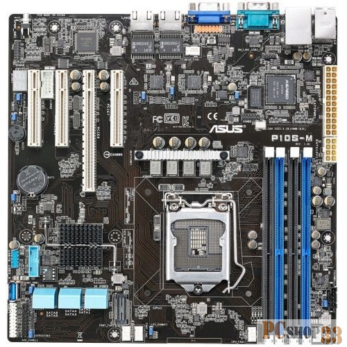 Материнская плата P10S-M