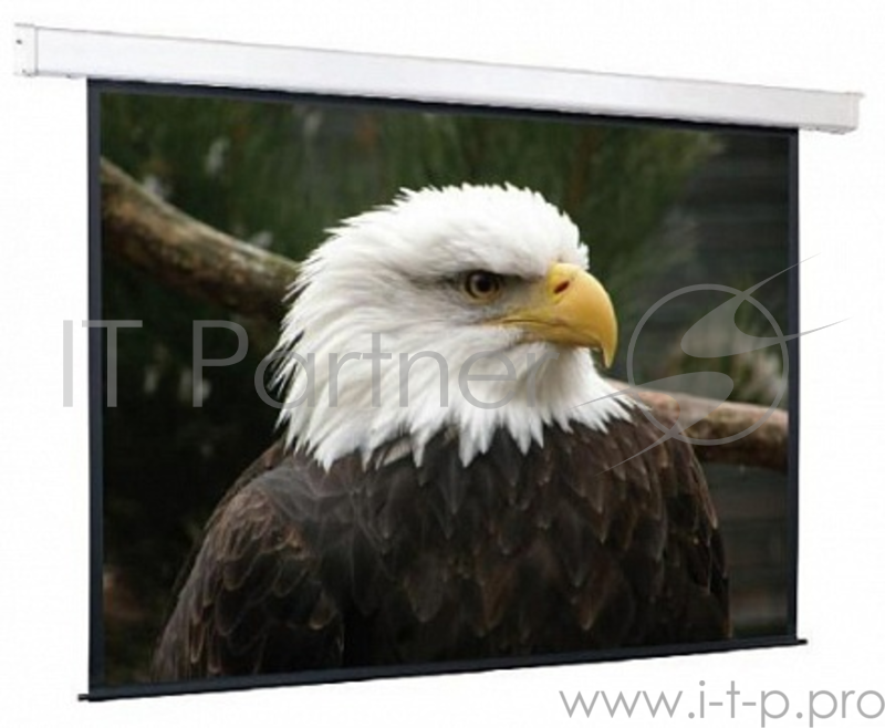 Экран с электроприводом Champion 274*274 MW