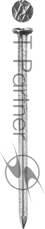 Зубр Гвозди