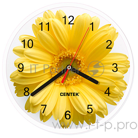 Часы настенные Centek СТ-7102 Flower