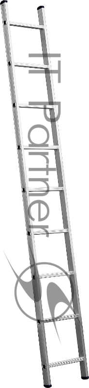 Лестница СИБИН 38834-09 приставная 9 ступеней высота 251 см
