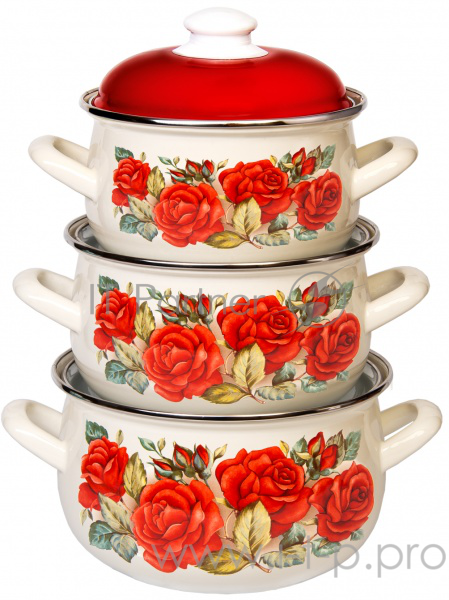 Набор кастрюль Interos Розы 3-х предметный