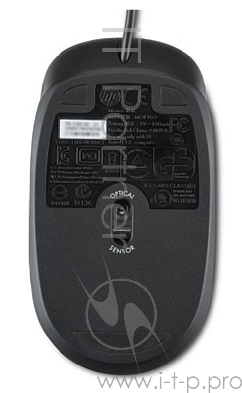 Мышь HP QY775AA черный оптическая (800dpi) PS/2 (2but)