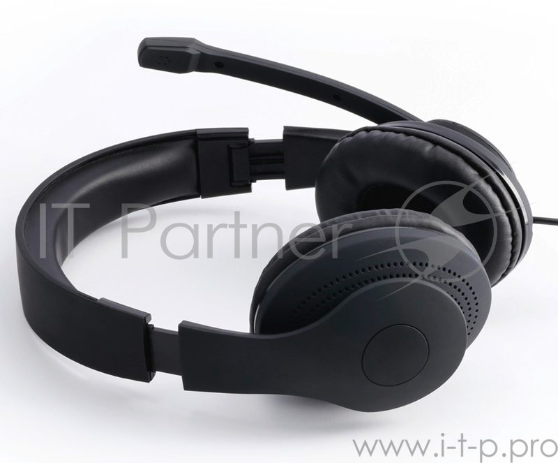 Наушники с микрофоном Hama HS-USB300 черный 2м мониторы оголовье (00139924)