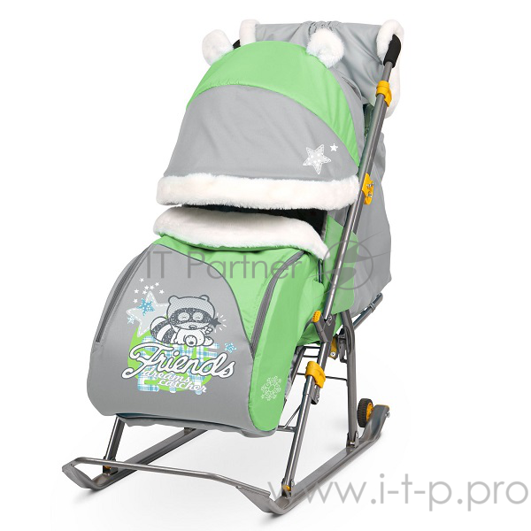 Санки детские НИКА Ника детям 6 НД6 с енотом зеленый/серый