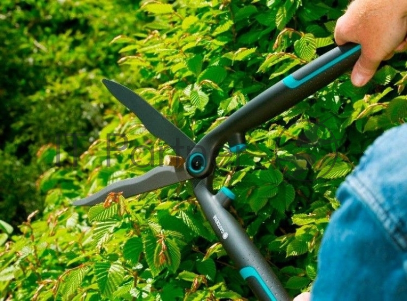 Ножницы для живой изгороди Gardena EasyCut черный/синий (12301-20.000.00)