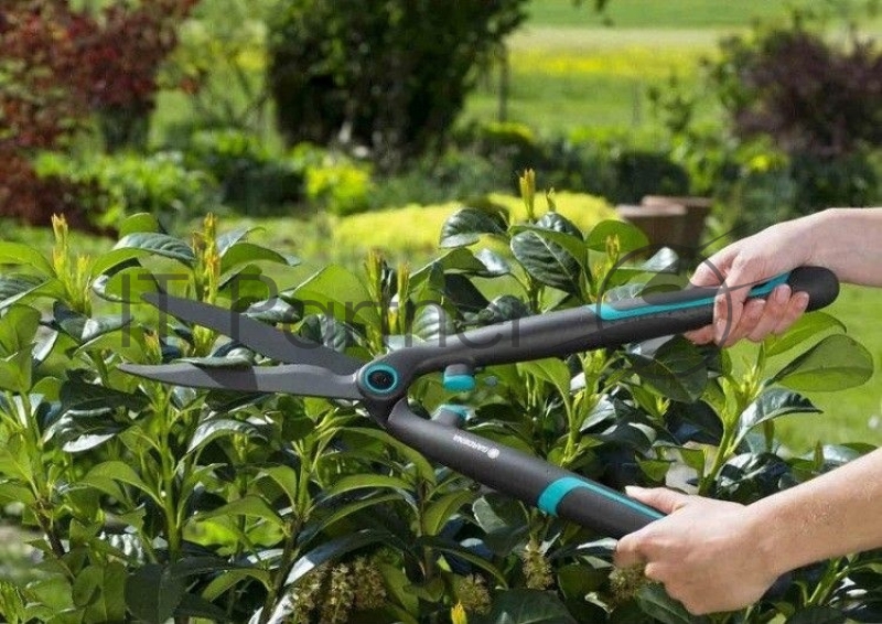 Ножницы для живой изгороди Gardena EasyCut черный/синий (12301-20.000.00)