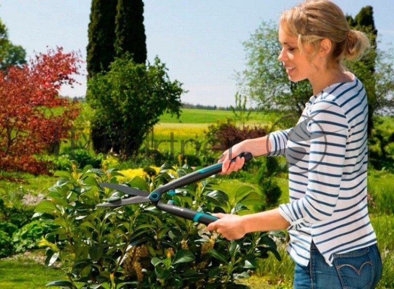 Ножницы для живой изгороди Gardena EasyCut черный/синий (12301-20.000.00)