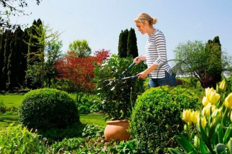 Ножницы для живой изгороди Gardena EasyCut черный/синий (12301-20.000.00)