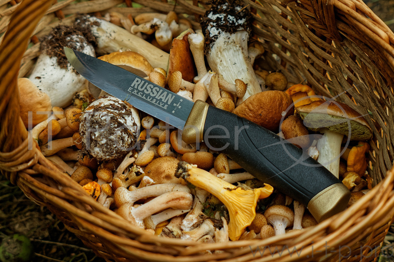 Нож Mora Companion Russian Limited (13643) стальной лезв.103мм прямая заточка черный/золотистый