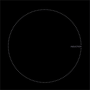 Индукционная варочная поверхность Lex EVI 320 F BL черный