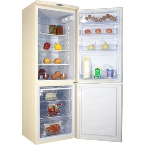 Холодильник DON R-290 ZF, золотой цветок