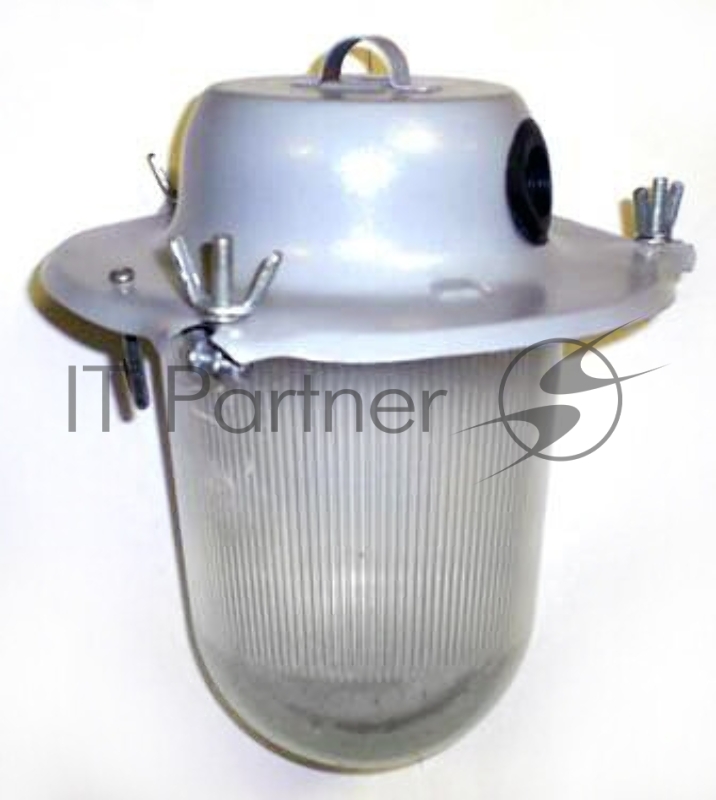 Светильник НСП 09-200-001 Транзит IP51 корпус серый Элетех 1005550282