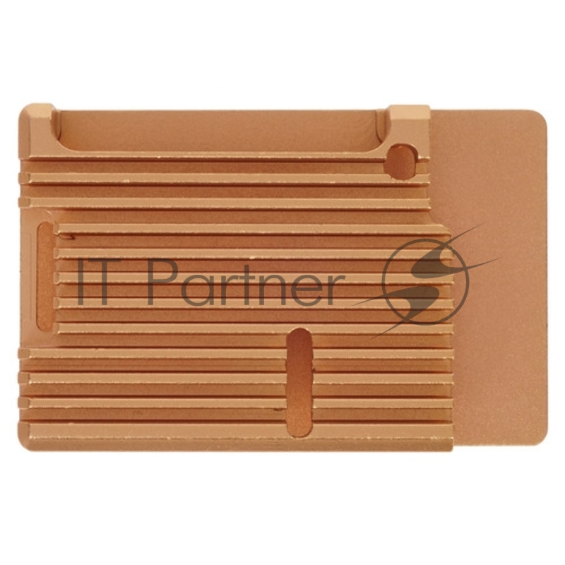 Корпус Qumo Aluminum case without fan, Raspberry Pi 4, gold(RS005)