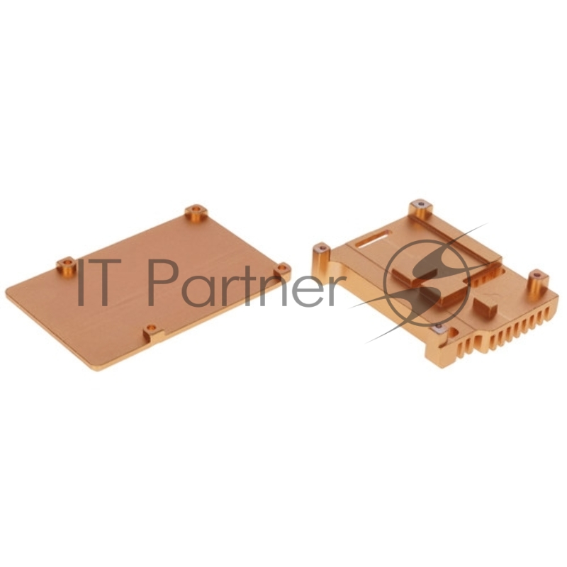 Корпус Qumo Aluminum case without fan, Raspberry Pi 4, gold(RS005)