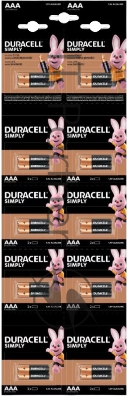 Элемент питания LR03-2BL BASIC 2х10 5011646 (блист.20шт) Duracell Б0051816