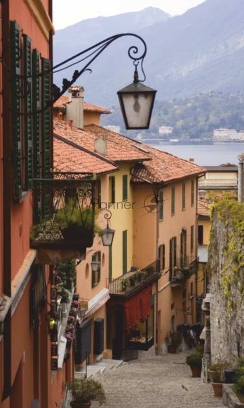 Грелка электрическая - Обогреватель настенный ЭОБН-0,4-220-УХЛ4, Дыхание тепла, Итальянский дворик, Брест (1020*610мм), 400 Вт (19с426)