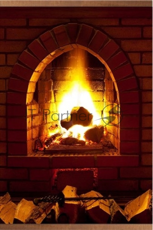 Обогреватель настенный ЭОБН-0,4-220-УХЛ4, Дыхание тепла, Камин, Брест (1020*610мм), 400 Вт (17с411)