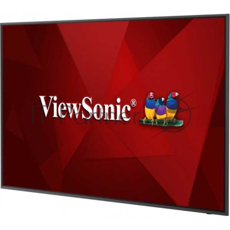 Коммерческий дисплей ViewSonic CDE6520 65 LCD 16:9 3840x2160(UHD 4K) IPS, 3Y