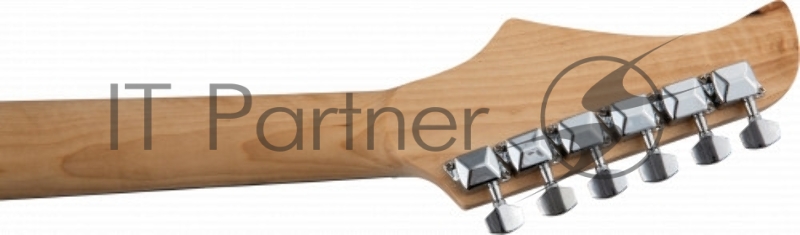 TERRIS TPACK-1 SB комплект электрогитара, комбик, чехол, стойка, тюнер цвет санберст